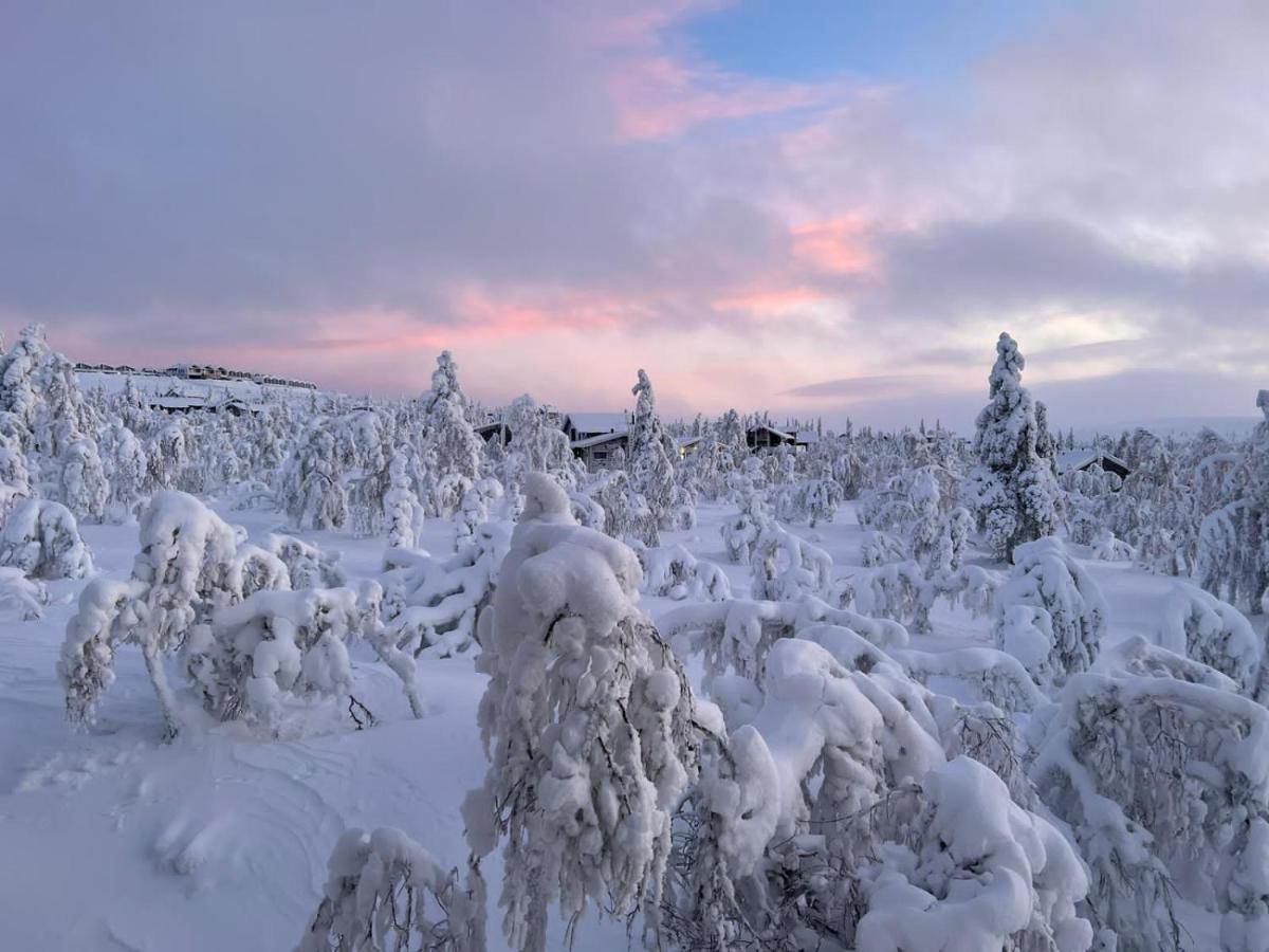 Villa Haukka Saariselkä Buitenkant foto